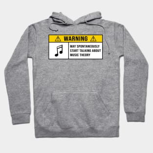 Funny Music Theory Quote Hoodie